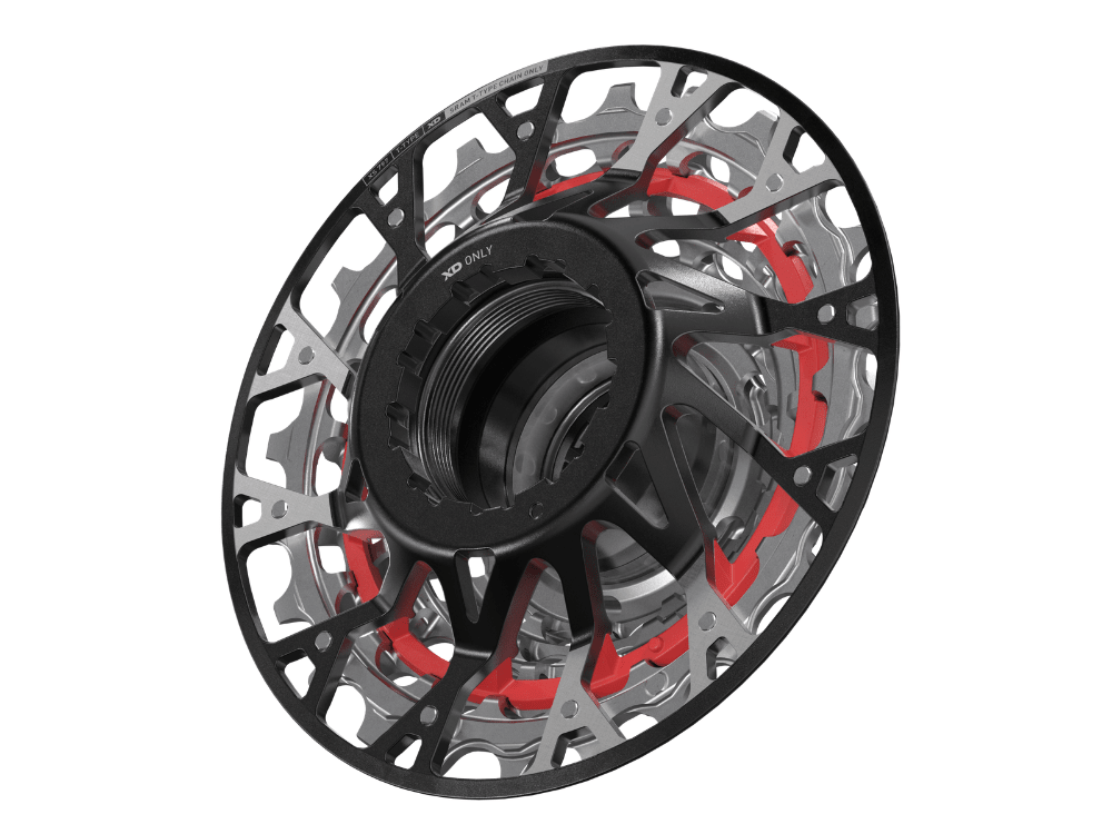 SRAM XX DH T - Type Cassette - XS - 797 - XD - The Lost Co. - SRAM - 00.2418.163.000 - 710845928017 -