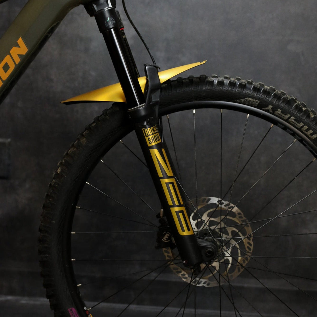 Metallic Gold Long Fender