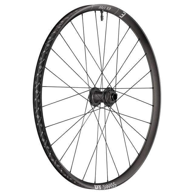 DT Swiss EX 1700 Classic Front Wheel - 29" - 20x110mm Boost - The Lost Co. - DT Swiss - WEX1700BFEXSA28894 - 7613052533612 - 