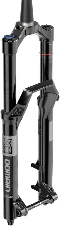 RockShox Domain Gold Fork C1 - Isolator RC3 - 29