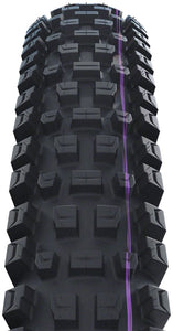 Schwalbe Albert Tire - 29x2.5 - Trail Pro - Addix Ultra Soft - Radial - E - 50 - The Lost Co. - Schwalbe - 11654604 - 4026495945561 - 