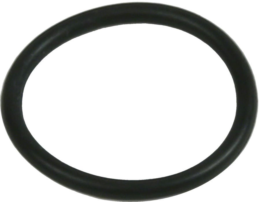 Hope Tech V4 Large Disc Brake Caliper Bore Cap O-Ring - Single - The Lost Co. - Hope - HBSP301 - 5055168050164 - -