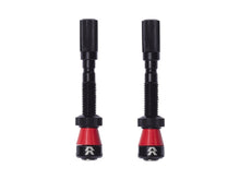 Load image into Gallery viewer, Santa Cruz Bicycles Reserve Fillmore Tubeless Valve - 50mm, Black, Pair - The Lost Co. - Santa Cruz Bicycles - 67-23886 - 192219314518 - -